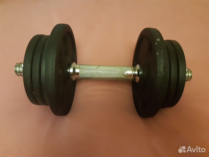 Гантели разборные по 10 кг