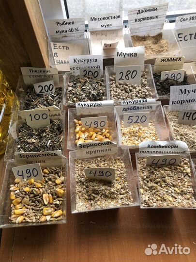 Мука кормовая пшеничная