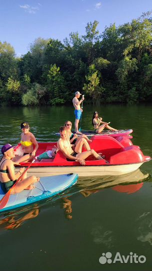 Катамаран Волгодонск