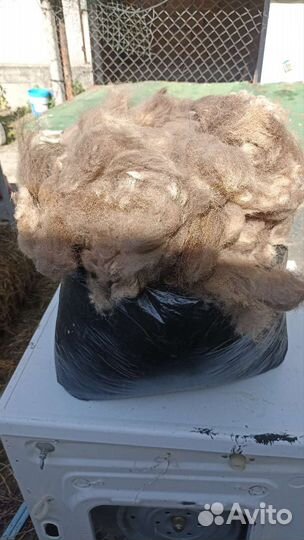 Шерсть верблюда