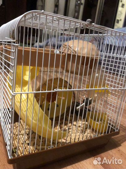 Клетка для грызунов (джунгарского хомяка)