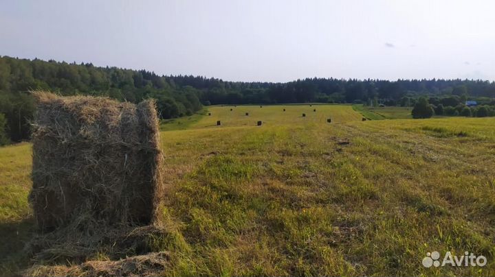 Сено луговое