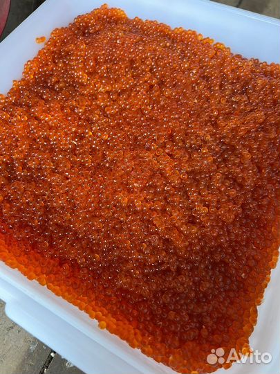 Икра красная