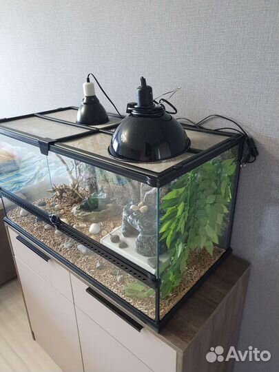 Террариум Repti-Zoo 90 45 45 для рептилий