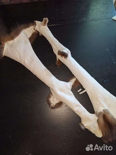 Выделка шкур качественно