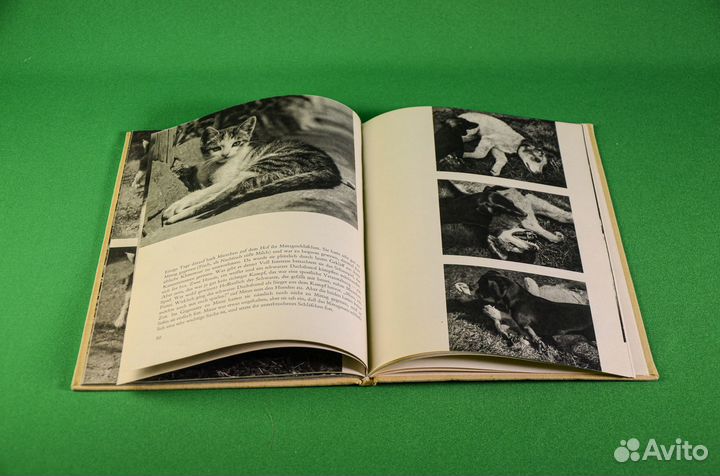 Самая милая книга на немецком. Винтаж