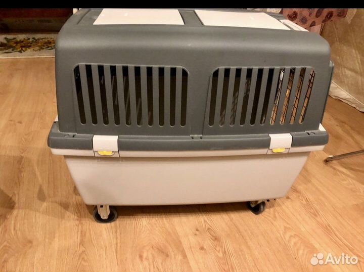 Переноска для животных, Италия