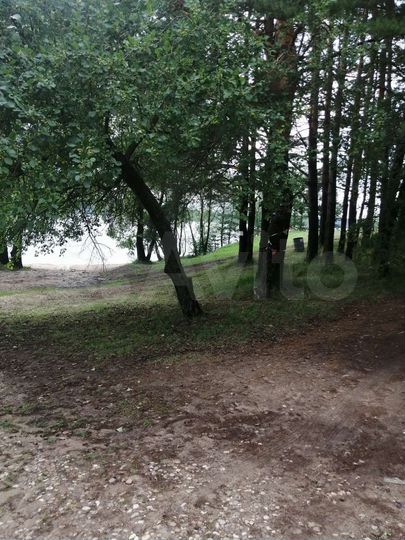 Участок 42 сот. (СНТ, ДНП)