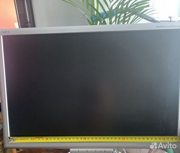 Монитор NEC LCD205wxm