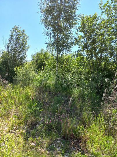 Участок 11 сот. (ИЖС)