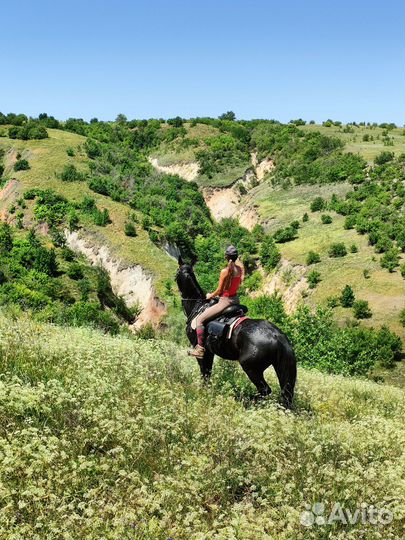 Конные туры выходного дня в Волгоградской области