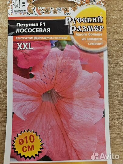 Черенки и рассада петуний