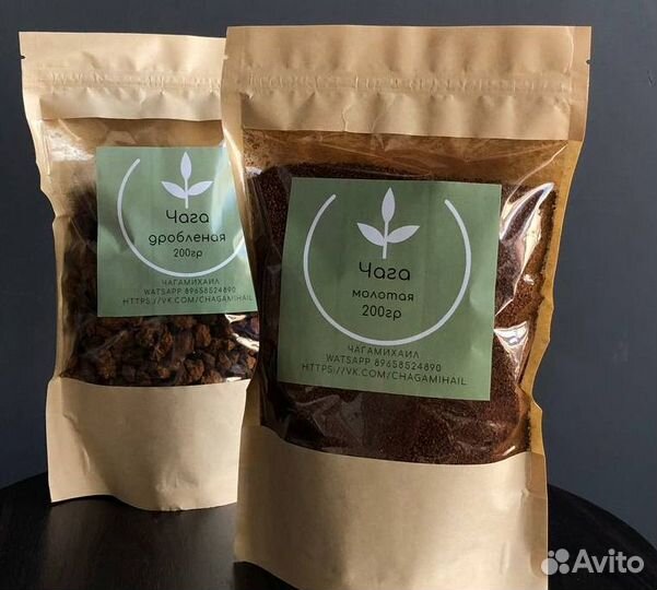 Чага для иммунитета от сборщика