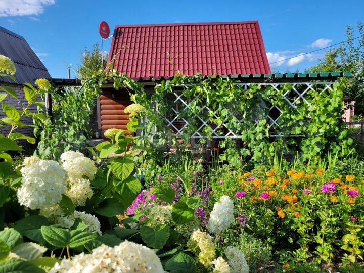 Дача 30 м² на участке 6 сот.