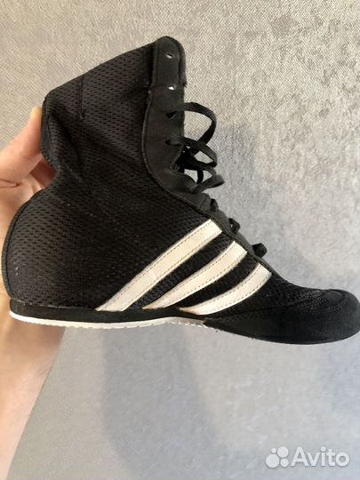 Боксерки adidas box hog 2