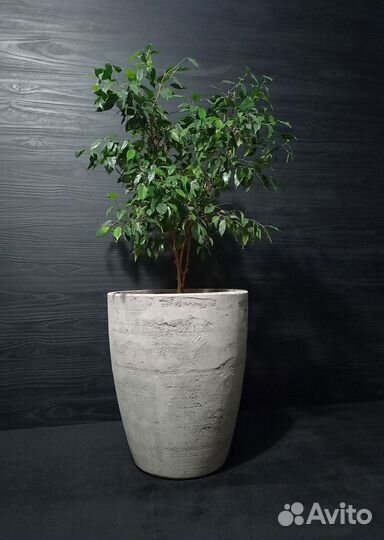 Горшки, Вазоны, Кашпо под заказ из бетона арт 138