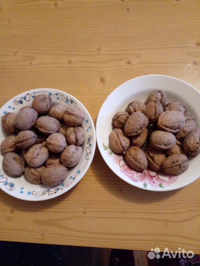 Орех грецкий