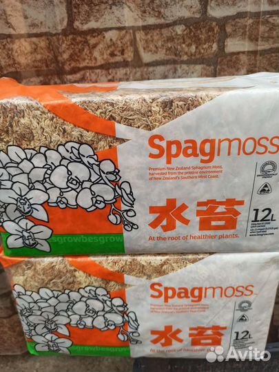 Орхидея катлея, дендробиум,Орхиата, мох Spagmoss