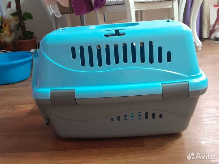 Зоотакси для кошек и собачек, передержка кошек