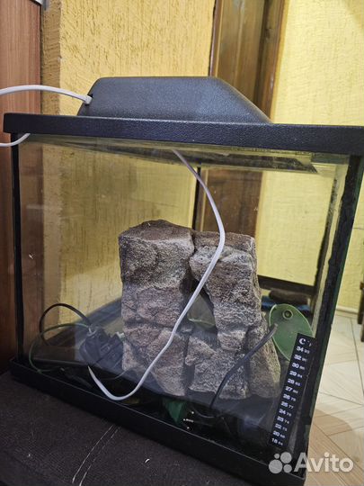 Аквариум 100л