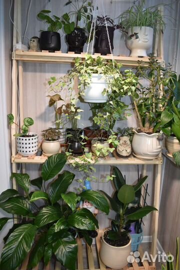 Этажерка для цветов из дерева