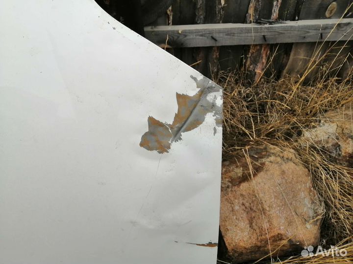 Капот и бампер