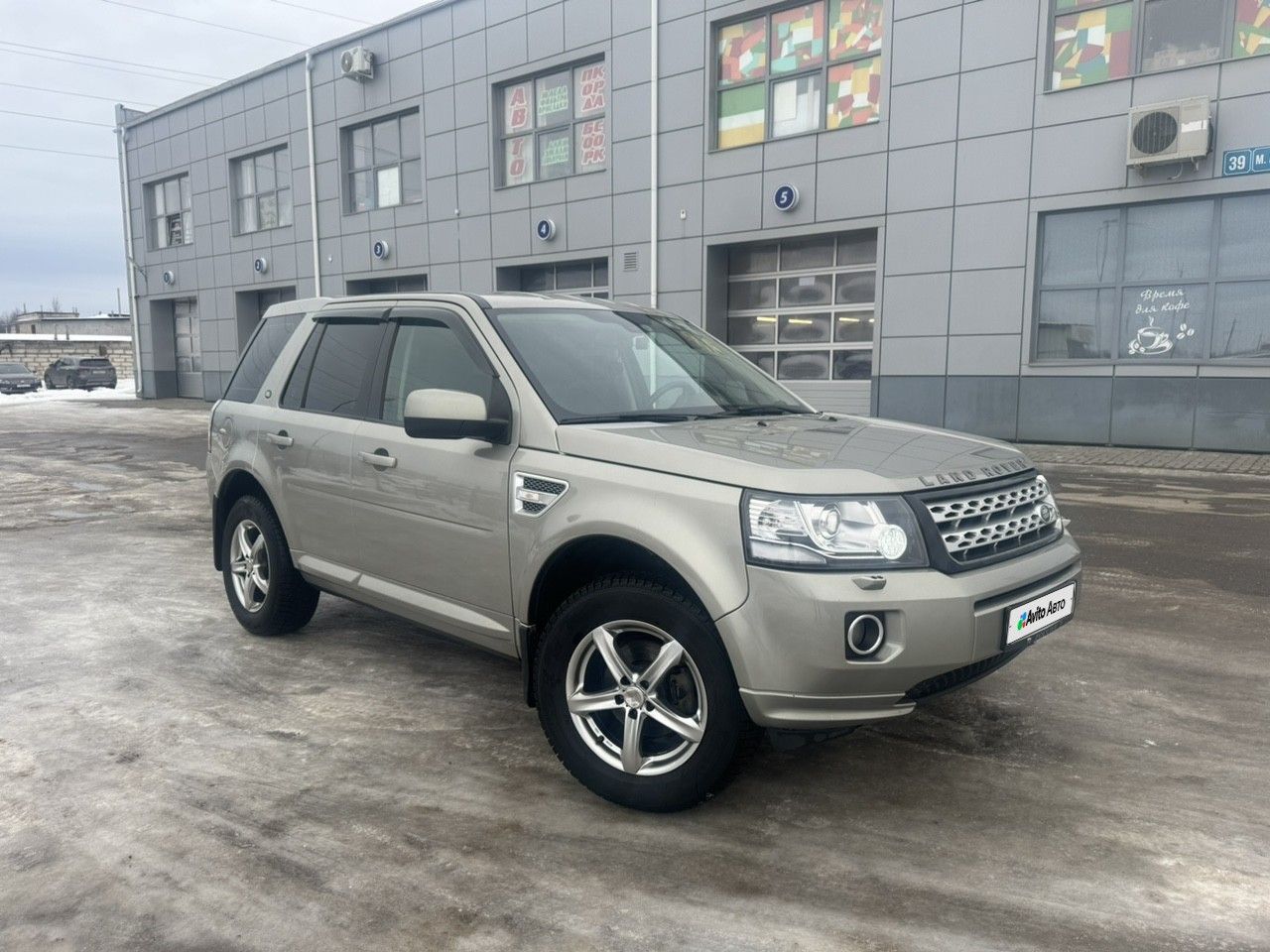 Land Rover Freelander: фото владельца