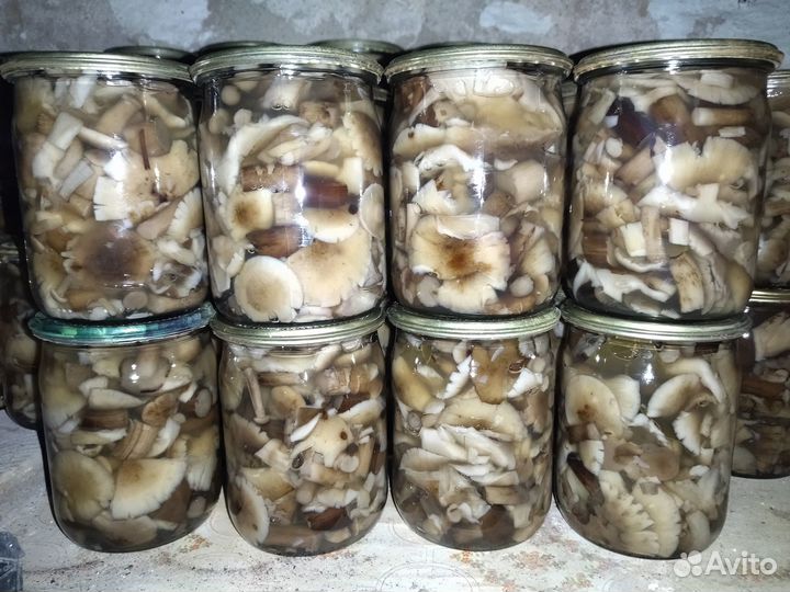 Грибы опята маринованные