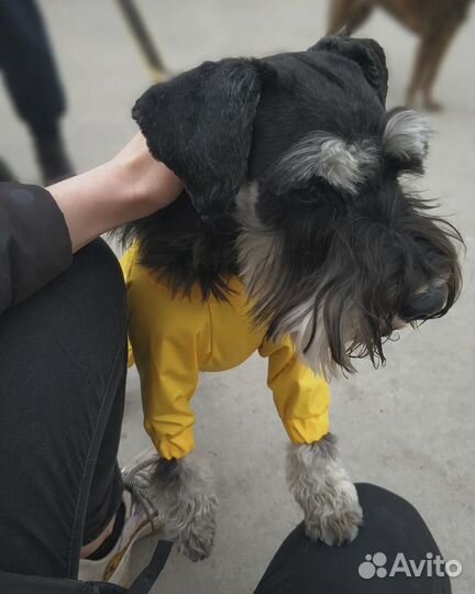 Одежда для животных на заказ