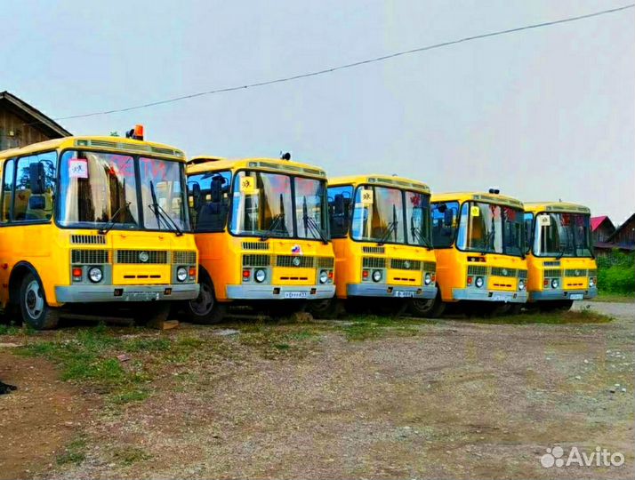 Школьный автобус ПАЗ 32053-70, 2012