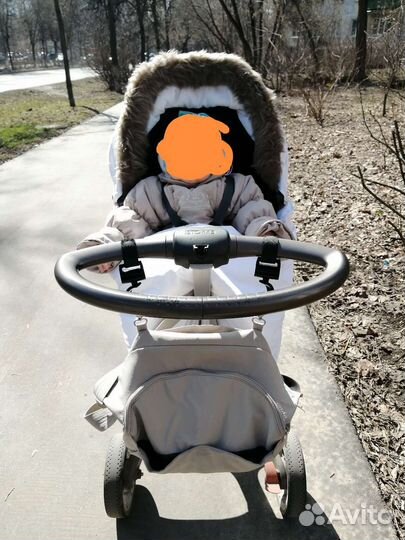 Зимний кит для стокке