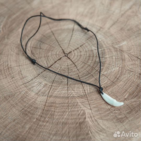 Клык волка (35-36 мм)