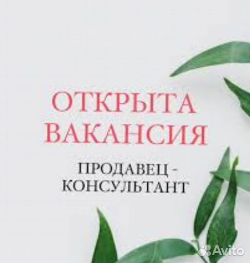 Продавец консультант в магазин одежды