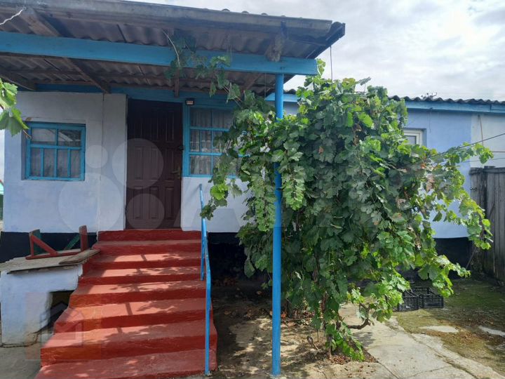 Дом 56,2 м² на участке 6 сот.