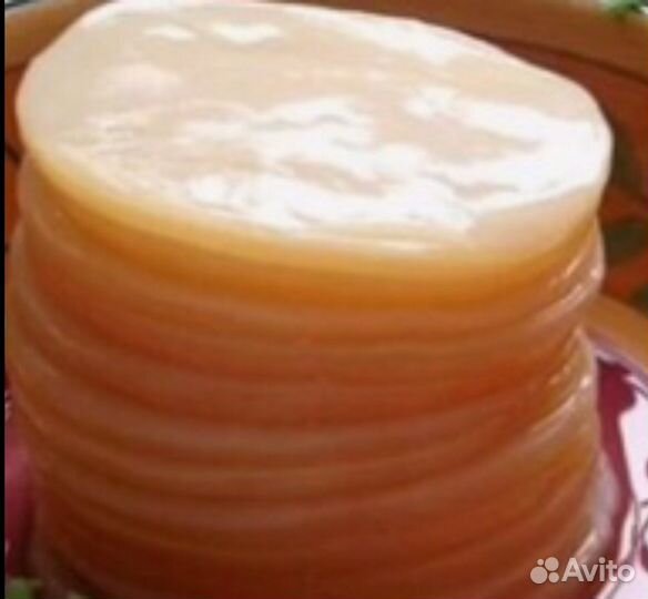 Комбуча (чайный гриб) бесплатно