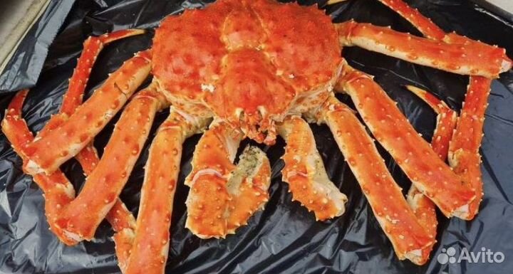 Икра, краб, креветка, рыба, морепродукты оптом