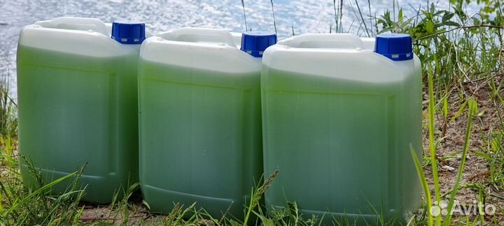 Хлорелла для очистки пруда