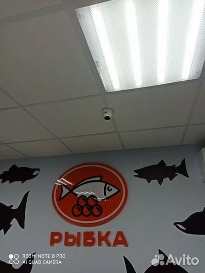 Интернет оборудование в частный дом / для бизнеса