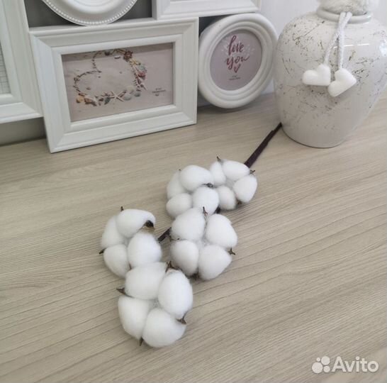 Хлопок сухоцвет