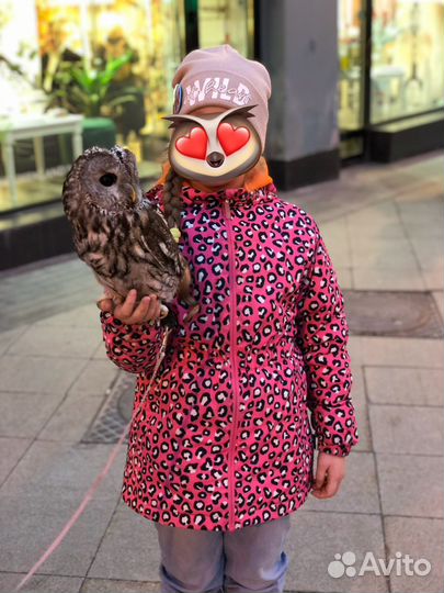 Куртка для девочки crockid 140-146