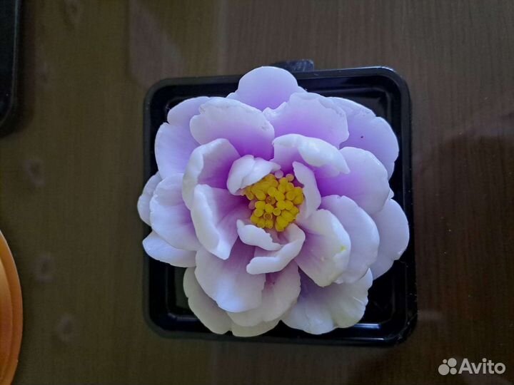 Цветы из мыла ручной работы