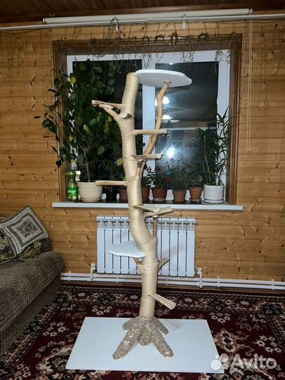 Когтеточка для кошек