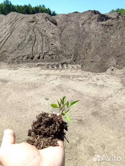 Удобрение навоз коровий в мешках 25 литров