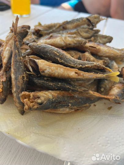 Рыбалка на море в Сочи