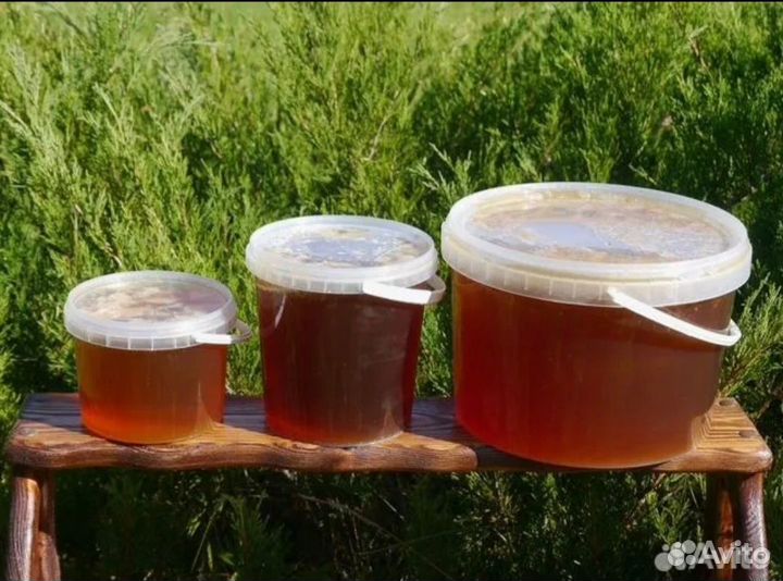Мед с собственной пасеки