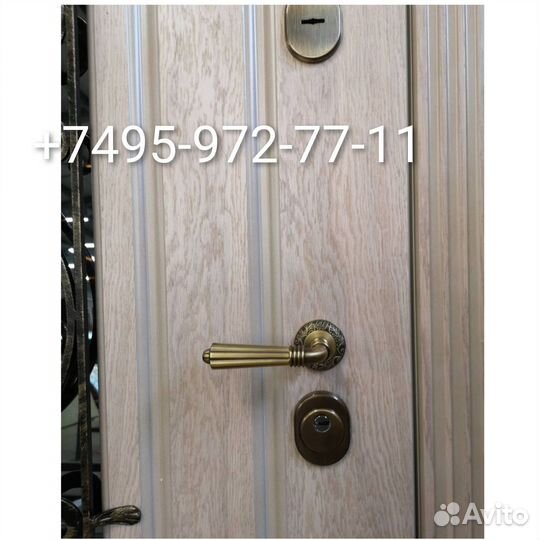 Двери входная металлическая