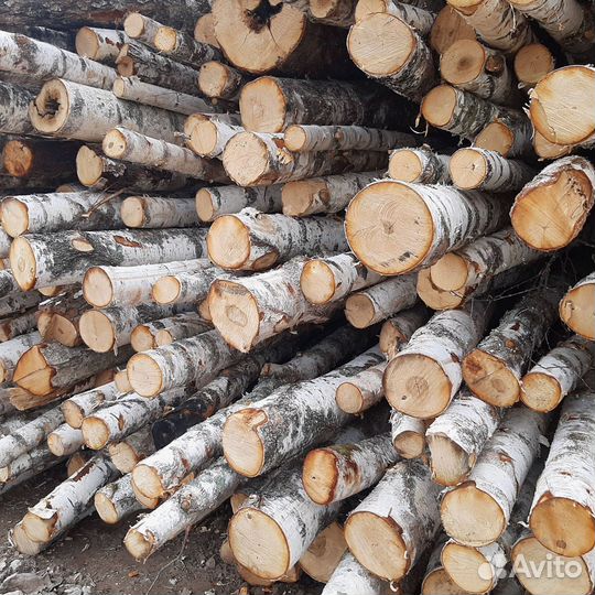 Дрова березовые