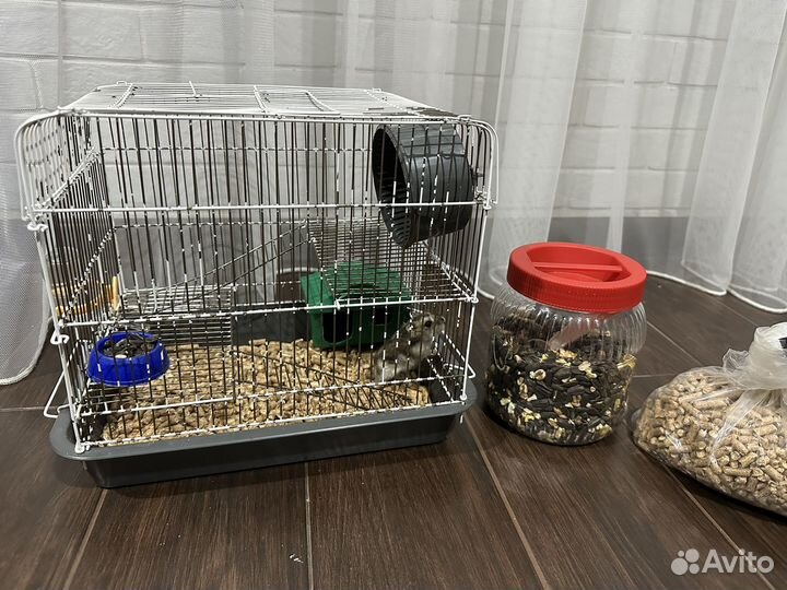 Хомяк. Клетка