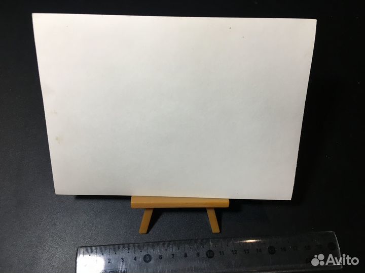 Собака щенок фото СССР