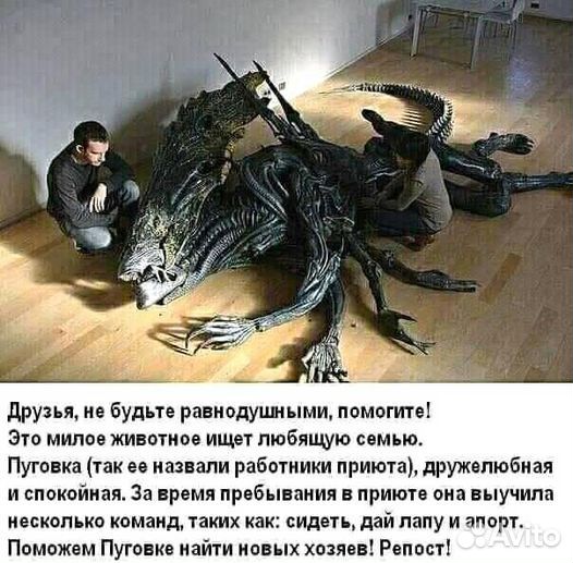 Мфу HP LJ M1120MFP